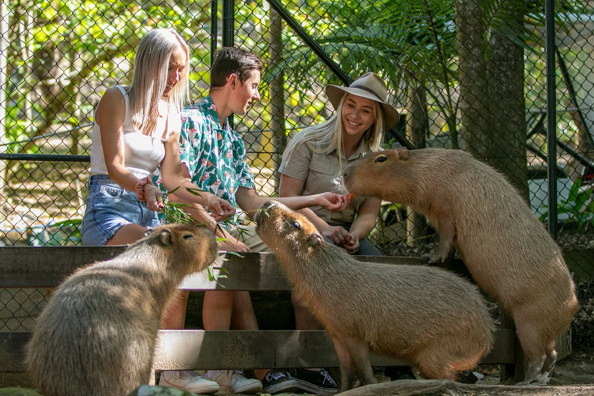 Currumbin Wildlife Sanctuary Gold Coast Ticket - image 8