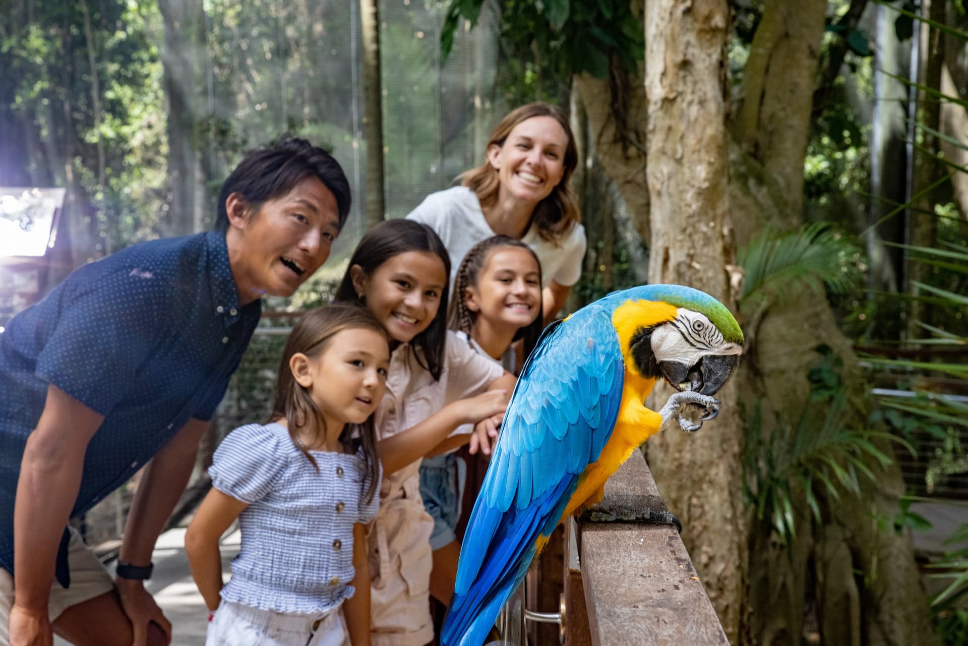 Currumbin Wildlife Sanctuary Gold Coast Ticket - image 11