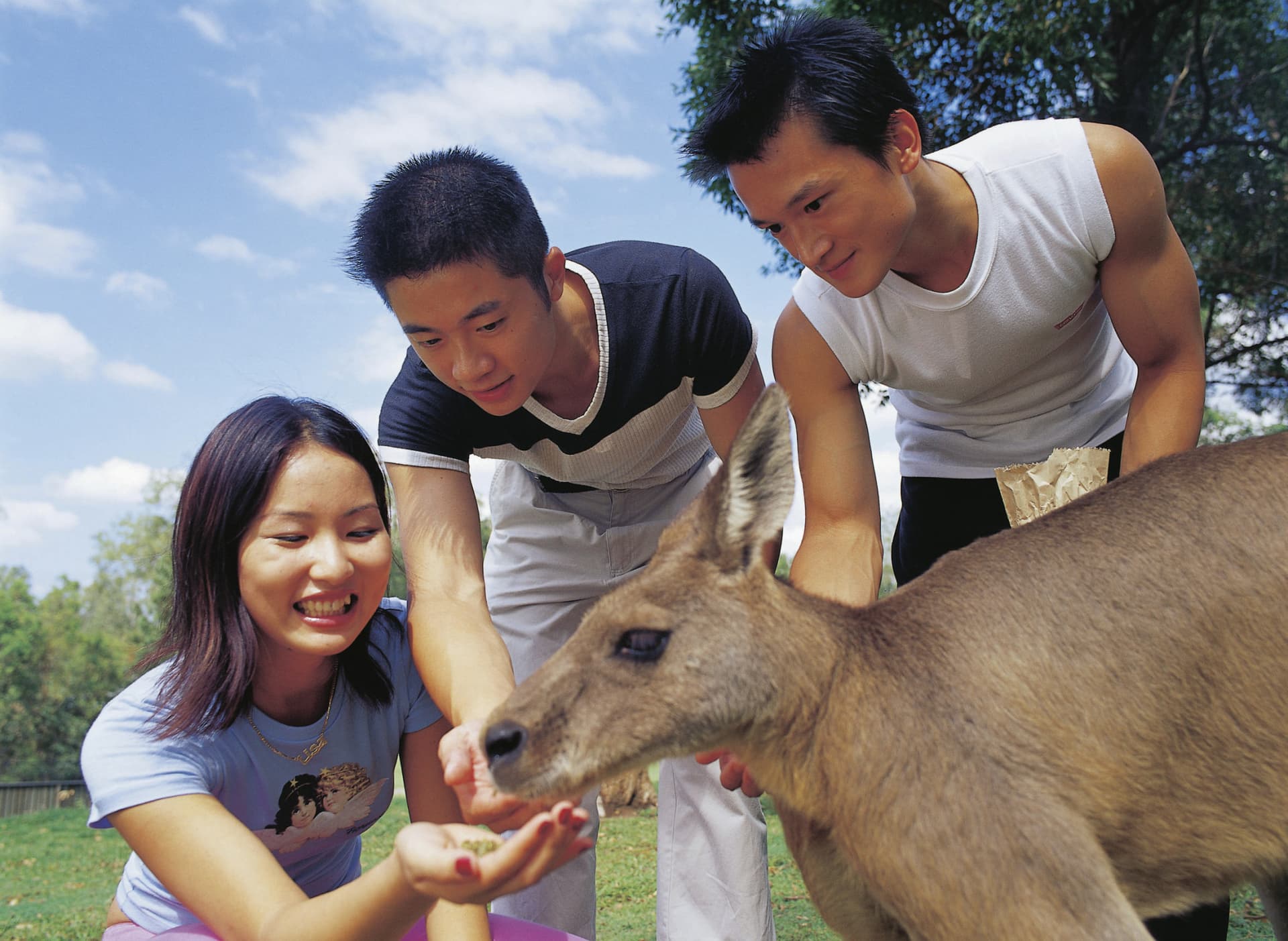 Currumbin Wildlife Sanctuary Gold Coast Ticket - image 5