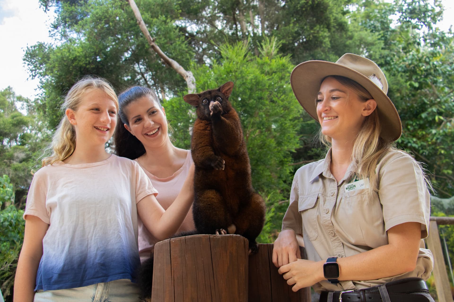 Currumbin Wildlife Sanctuary Gold Coast Ticket - image 12
