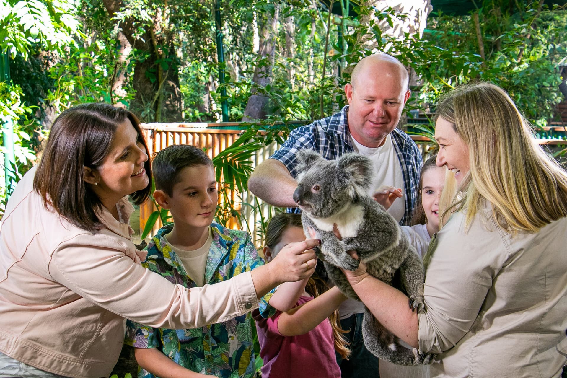 Currumbin Wildlife Sanctuary Gold Coast Ticket - image 10